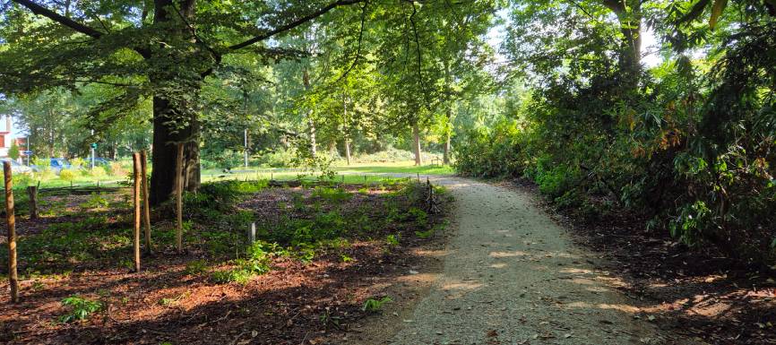 Bosapd aangelegd aangelegd met Nobre Cál