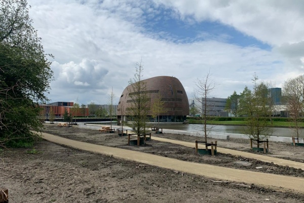 Halfverharding in Groningen zorgt voor een mooie balans tussen natuurlijke uitstraling en een stevig pad.