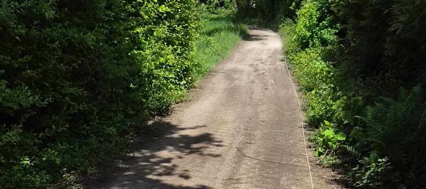 Een wandelpad van Nobre Cál dat toe is aan onderhoud.